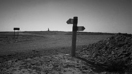 signs-800.jpg