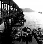 2010040102.jpg