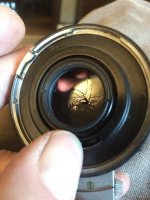 IMG_3605 - resized for RFF.jpg