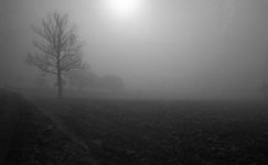 misty2.jpg