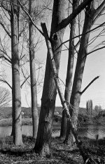 BW218_16.jpg