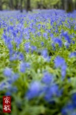 blue_small.jpg