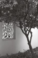 Lu San Garden IIs.jpg
