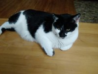 IMG_20211116_172957.jpg