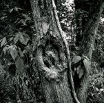 500LS-500LS-Ps-Lr--2019-8-16-Pioneer Pk + McDs-Nick+Nick-Yashica A-Delta 100at400-Hc110B-003.jpg