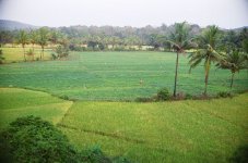 04180010.JPG