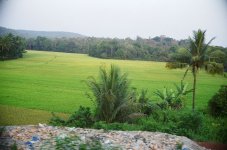 04180011.JPG