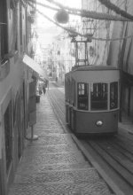 Tram joao.jpg