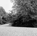 500LS-500LS-Ps-Lr--2019-8-16-Pioneer Pk + McDs-Nick+Nick-Yashica A-Delta 100at400-Hc110B-008.jpg