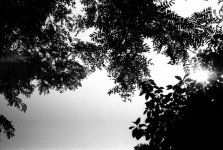 Scan-100815-0004.jpg