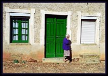 2745072-md.jpg