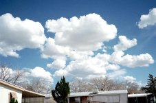 web Image03.jpg