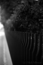 Fence.jpg