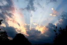 Charleston Sunrise-01.jpg
