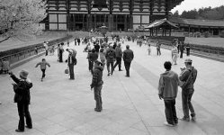 Nara3.jpg