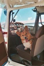 Reilly my Co-Pilot.jpg