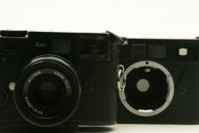 M6_104.JPG