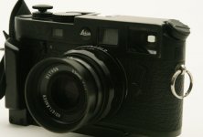 M6_123.JPG