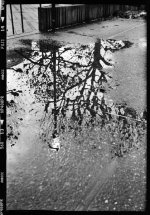 Reflection.jpg