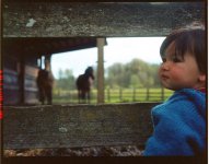 moni horses r barn ranch.jpg