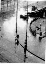 wolff rain.jpg