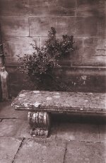 Hastings-near-3.jpg