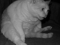 5 Bob P1010925.jpg
