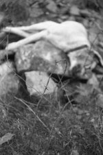 img059a.jpg