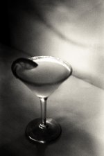 basil-1.jpg