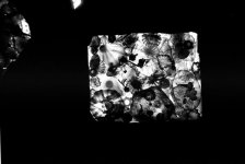 Scan-100706-0001.jpg