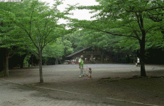 Nikkor-S new vs old.gif