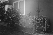 planter_sml.jpg