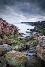 Landscapes-4.jpg