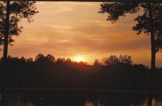 SCAN0024_600.jpg