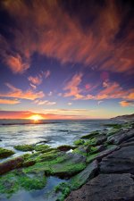 Landscapes-3.jpg