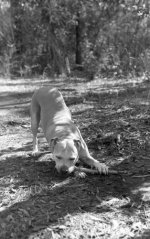 PlusX_Self Processed_003.jpg