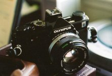 OM1n.jpg