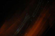 DSC_454.jpg