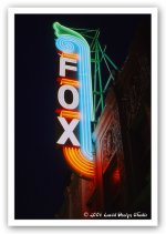 fox.jpg