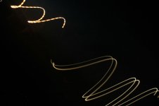 DSC_452.jpg