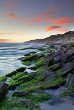Landscapes-6.jpg