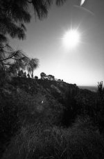 img087.jpg