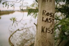 kisstree.jpg