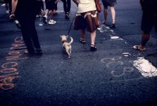 OM 1 -50 1-4 (1).jpg