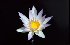 BBG6-27.jpg