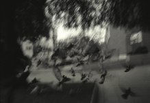 4 600.jpg