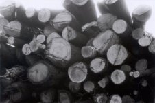 logs.jpg