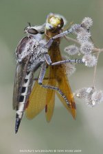 CRW_7386.jpg
