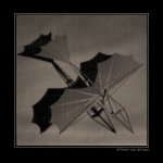 ornithopter_framed.jpg