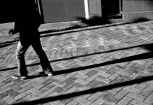 yashica16.jpg